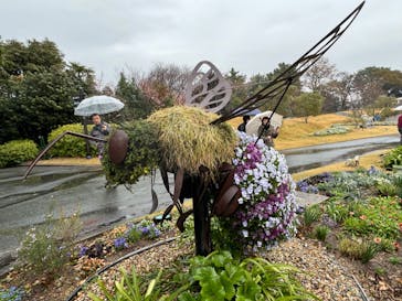 浜名湖花博2024に投稿された画像（2024/3/23）