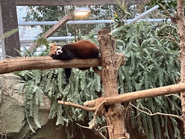 神戸どうぶつ王国に投稿された画像（2024/3/23）