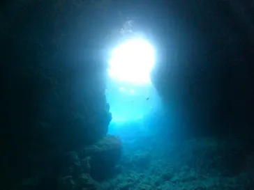 武藤潜水に投稿された画像（2024/3/23）