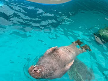 鴨川シーワールドに投稿された画像（2024/3/23）