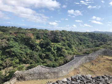 美らヤシパークオキナワ・東南植物楽園に投稿された画像（2024/3/23）