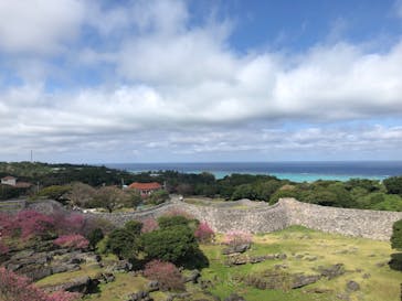 美らヤシパークオキナワ・東南植物楽園に投稿された画像（2024/3/23）