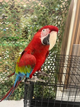 いきもの探検隊に投稿された画像（2024/3/23）