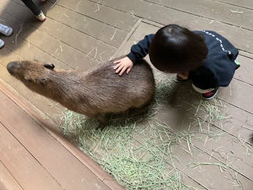 カワスイ 川崎⽔族館に投稿された画像（2024/3/23）