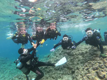 武藤潜水に投稿された画像（2024/3/23）