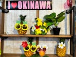 おきなわワールドに投稿された画像（2024/3/23）