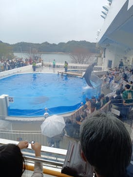 九十九島水族館海きららに投稿された画像（2024/3/23）