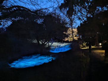 六義園に投稿された画像（2024/3/23）