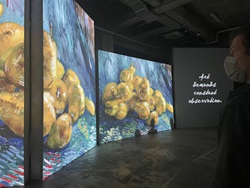 ゴッホ・アライブに投稿された画像（2024/3/23）