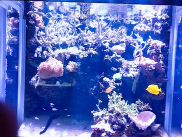 DMMかりゆし水族館に投稿された画像（2024/3/23）