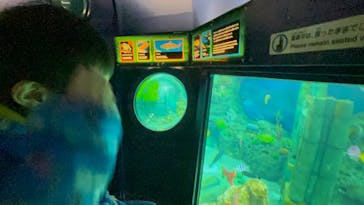 レゴランドⓇ・ジャパン・リゾートに投稿された画像（2024/3/23）