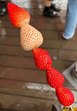 OSAKA Strawberry Festivalに投稿された画像（2024/3/23）