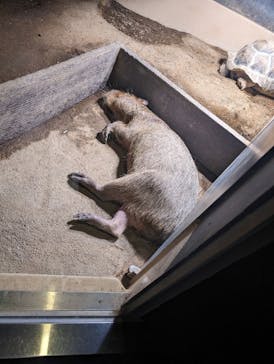 マクセル アクアパーク品川に投稿された画像（2024/3/23）