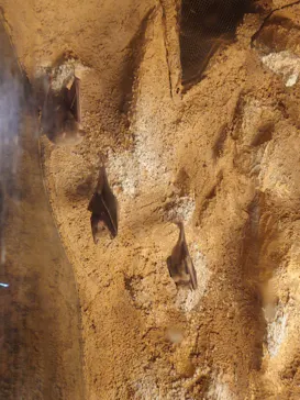 天王寺動物園に投稿された画像（2024/3/23）