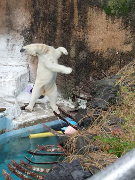 天王寺動物園に投稿された画像（2024/3/23）