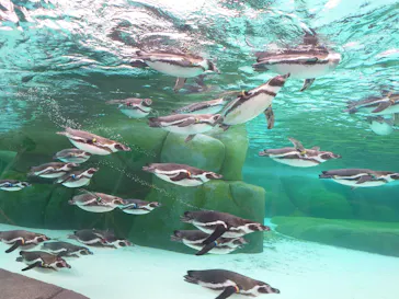 天王寺動物園に投稿された画像（2024/3/23）