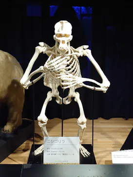 天王寺動物園に投稿された画像（2024/3/23）