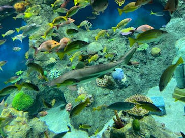 レゴランドⓇ・ジャパン・リゾートに投稿された画像（2024/3/23）