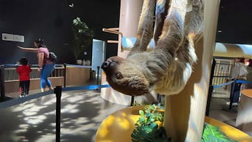 DMMかりゆし水族館に投稿された画像（2024/3/23）