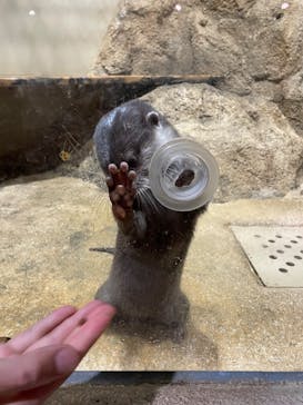 DMMかりゆし水族館に投稿された画像（2024/3/23）