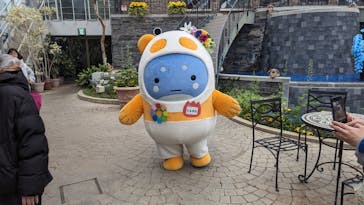 浜名湖花博2024に投稿された画像（2024/3/23）