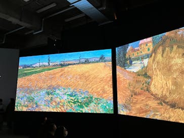 ゴッホ・アライブに投稿された画像（2024/3/23）