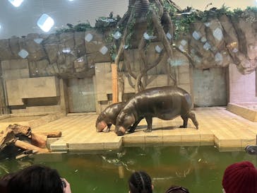 NIFREL（ニフレル）に投稿された画像（2024/3/23）