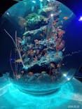 AQUARIUM × ART　atoaに投稿された画像（2024/3/23）