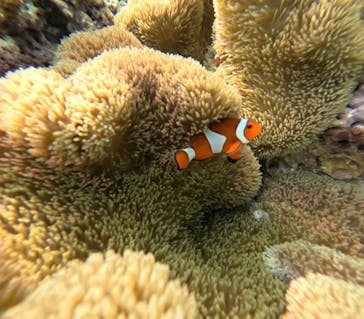 宮古島 ADVENTURE PiPi（ミヤコジマ アドベンチャー ピピ）に投稿された画像（2024/3/23）