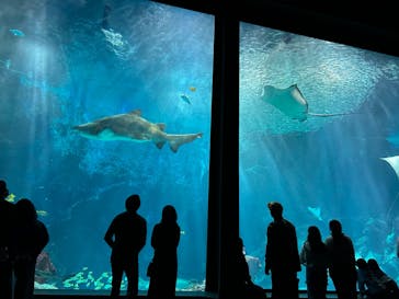 マリンワールド海の中道に投稿された画像（2024/3/23）