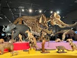 特別展「大哺乳類展３－わけてつなげて大行進」に投稿された画像（2024/3/23）