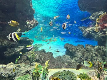 サンシャイン水族館に投稿された画像（2024/3/23）