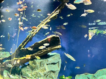 サンシャイン水族館に投稿された画像（2024/3/23）