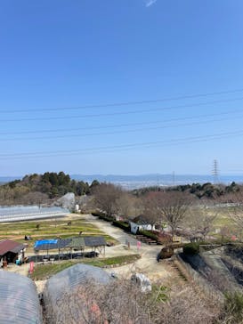 農業公園信貴山のどか村に投稿された画像（2024/3/23）