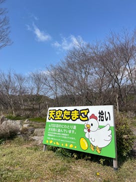 農業公園信貴山のどか村に投稿された画像（2024/3/23）