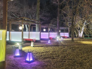 NAKED meets 二条城 2025 観月に投稿された画像（2024/3/23）