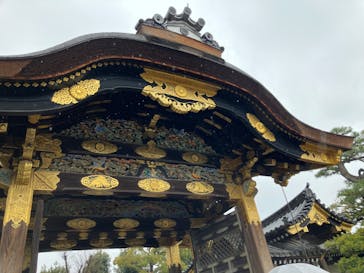 元離宮二条城に投稿された画像（2024/3/23）