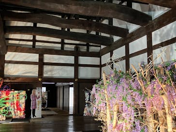 元離宮二条城に投稿された画像（2024/3/23）