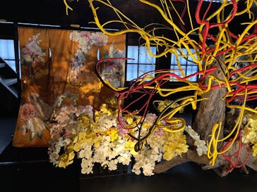 元離宮二条城に投稿された画像（2024/3/23）