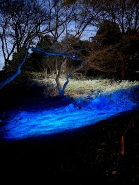 六義園に投稿された画像（2024/3/23）