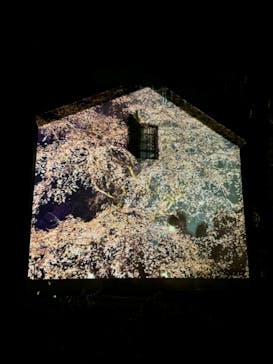 六義園に投稿された画像（2024/3/23）