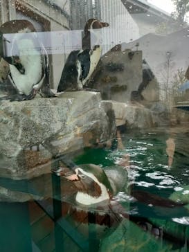 AQUARIUM × ART　atoaに投稿された画像（2024/3/23）