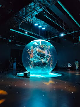 AQUARIUM × ART　atoaに投稿された画像（2024/3/23）
