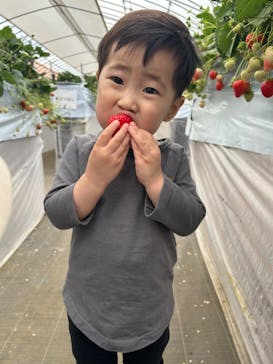 Strawberry Farm シャインベリーに投稿された画像（2024/3/23）