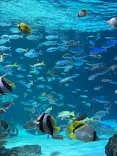 サンシャイン水族館に投稿された画像（2024/3/23）