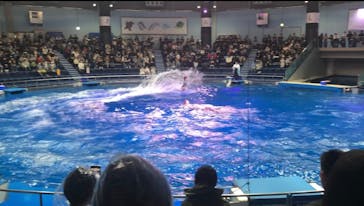 マクセル アクアパーク品川に投稿された画像（2024/3/23）