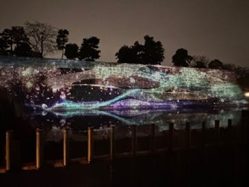 NAKED meets 二条城 2025 観月に投稿された画像（2024/3/23）