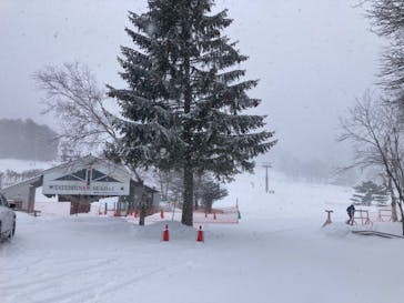 白樺高原国際スキー場に投稿された画像（2024/3/23）