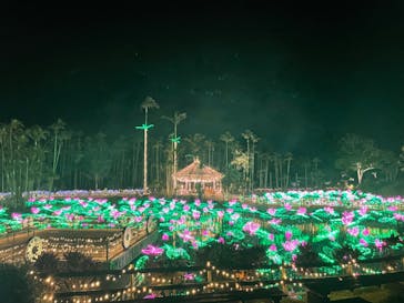 美らヤシパークオキナワ・東南植物楽園に投稿された画像（2024/3/23）