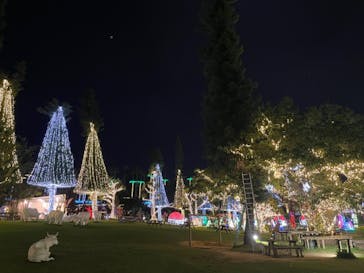 美らヤシパークオキナワ・東南植物楽園に投稿された画像（2024/3/23）